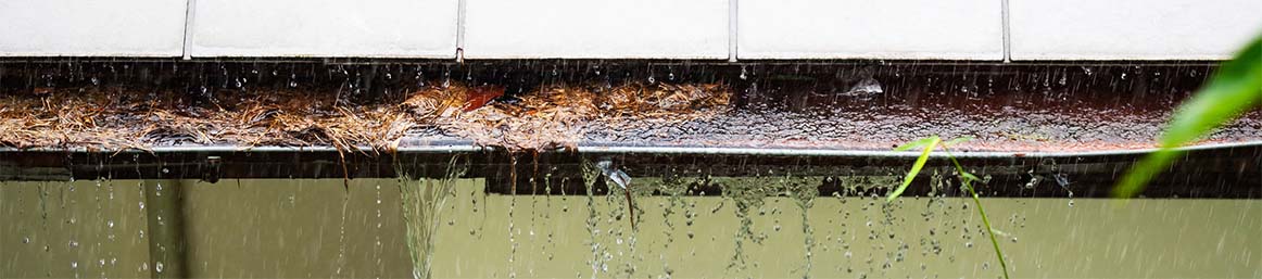 Blocked Gutter